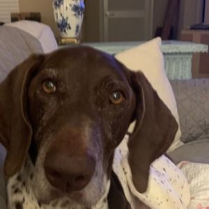 Meet your Posher, Jackie